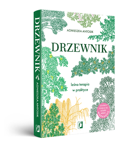 Drzewnik. Leśna terapia w praktyce - Agnieszka Antosik