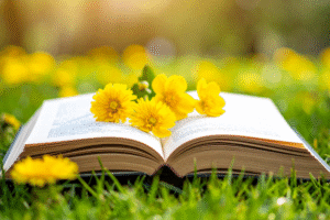 Co czytać w marcu? Polecane nowości rozwojowe - książki o rozwoju osobistym