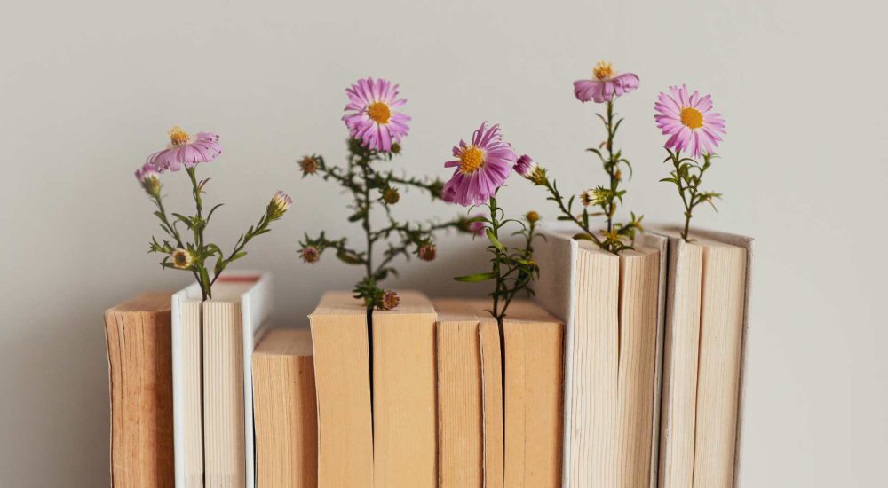 Kwietniowe zachwyty książkowe - polecajki książki rozwojowe